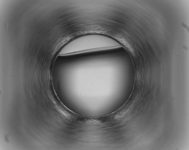 X0000097970397200803241024
