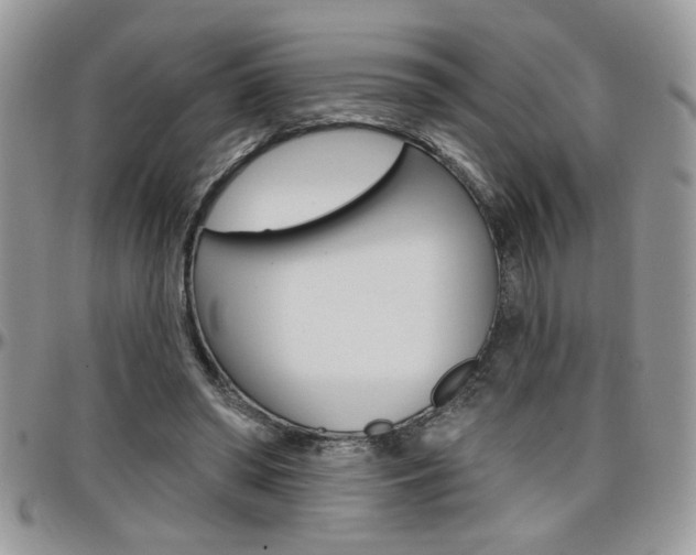 X0000097970398200803241024