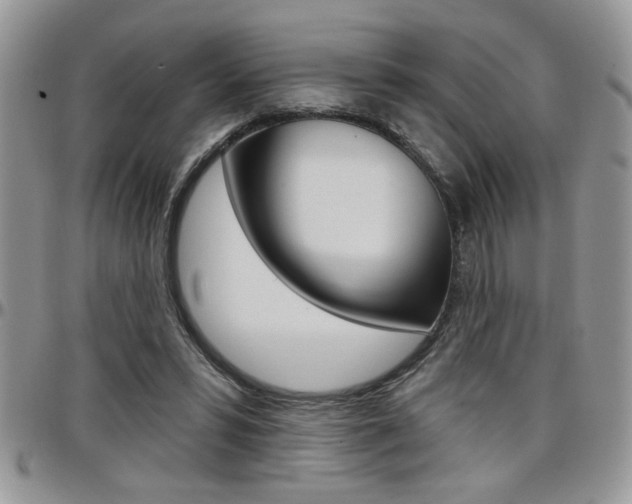 X0000097970399200803241024