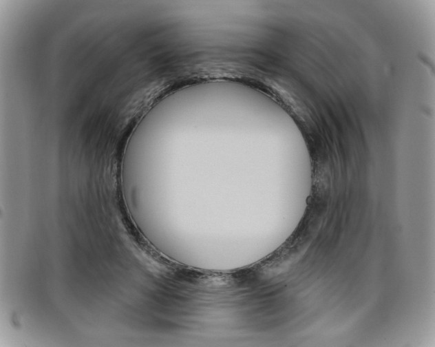 X0000097970402200803241024