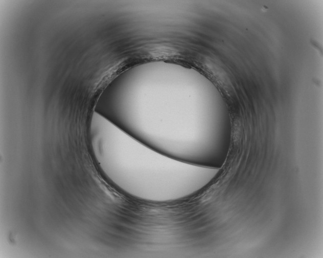 X0000097970405200803241024