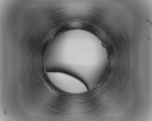 X0000097970408200803241024