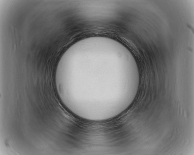 X0000097970409200803241024