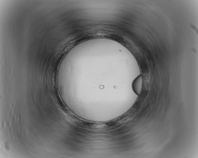 X0000097970410200803241024