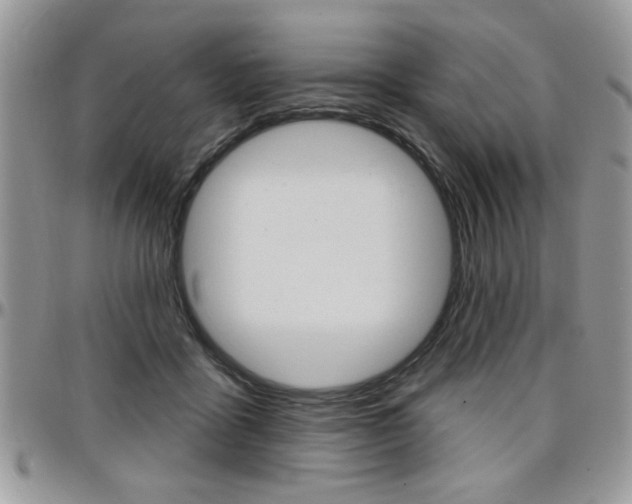 X0000097970411200803241024