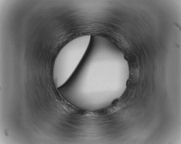 X0000097970416200803241024