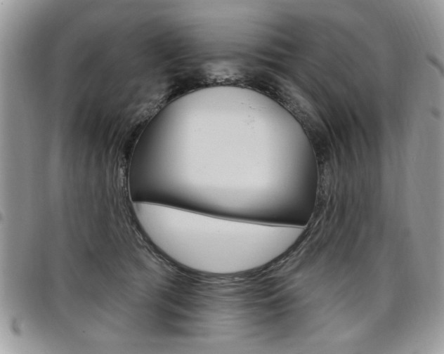 X0000097970417200803241024