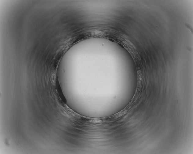 X0000097970419200803241024