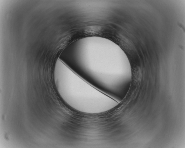 X0000097970420200803241024