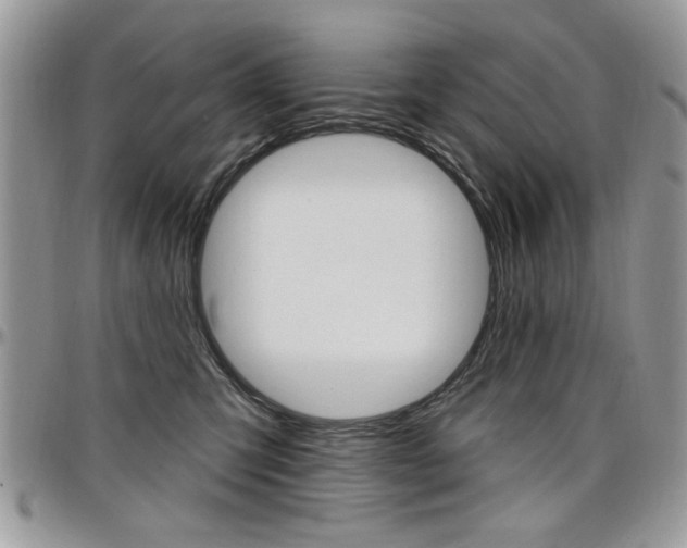X0000097970423200803241023