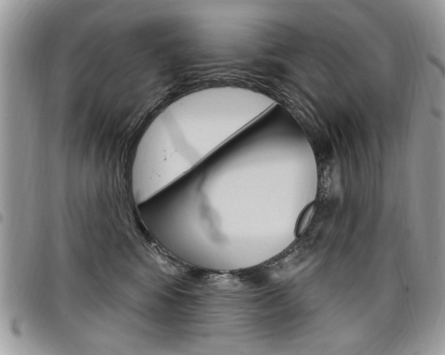 X0000097970424200803241023