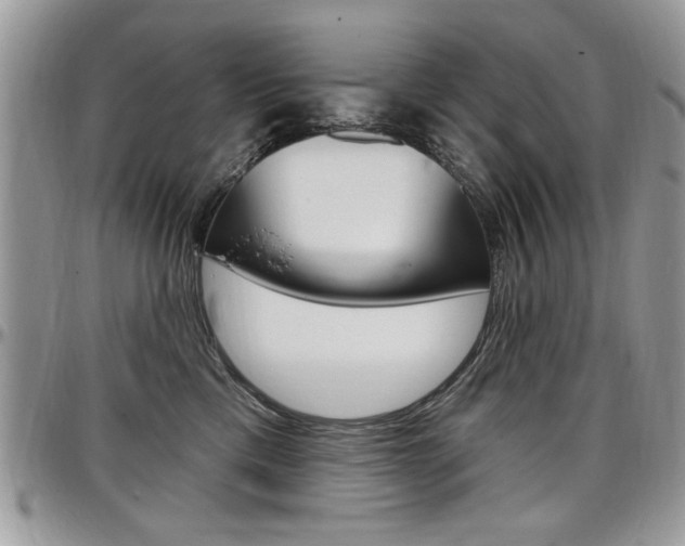 X0000097970425200803241023