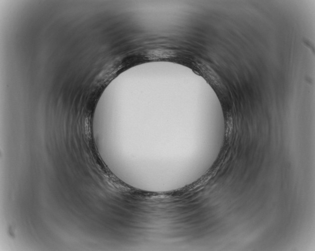 X0000097970426200803241023