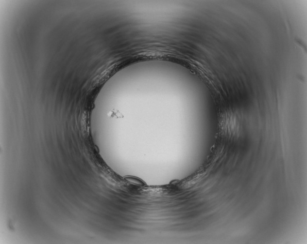 X0000097970428200803241023