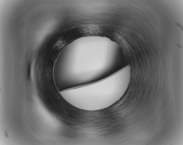 X0000097970429200803241023