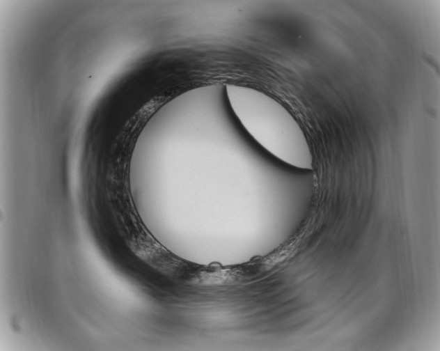 X0000097970430200803241023