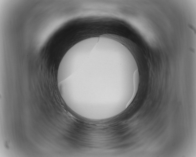 X0000097970431200803241023