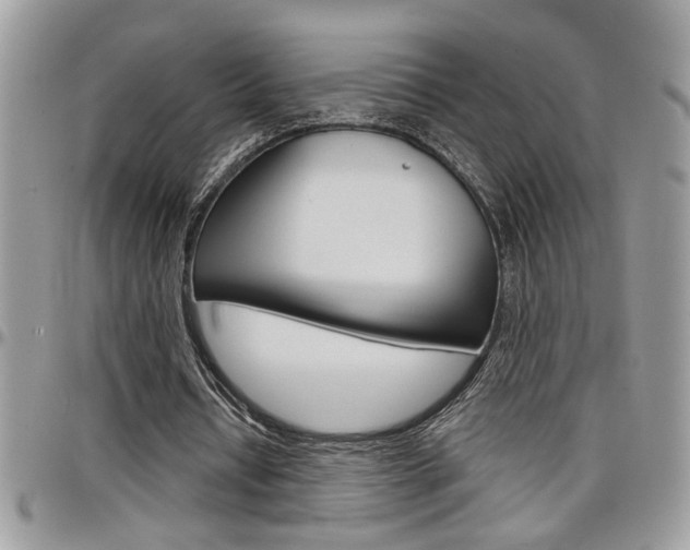 X0000097970434200803241023