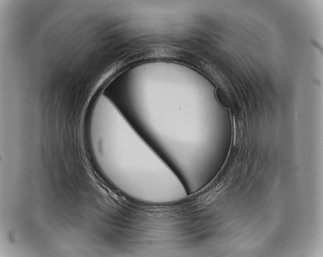 X0000097970435200803241023