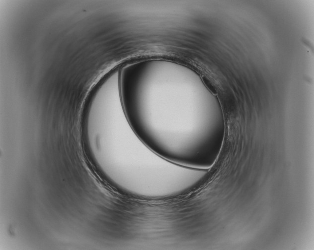 X0000097970436200803241023