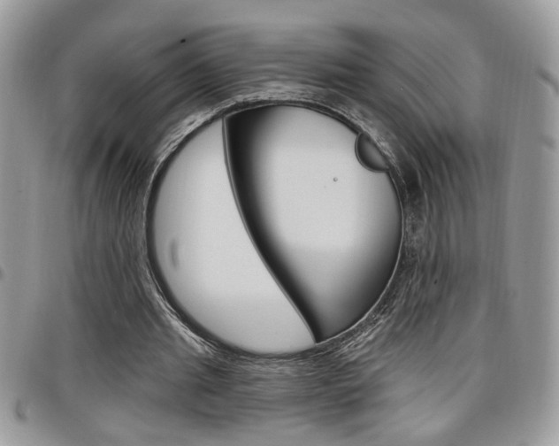 X0000097970437200803241023