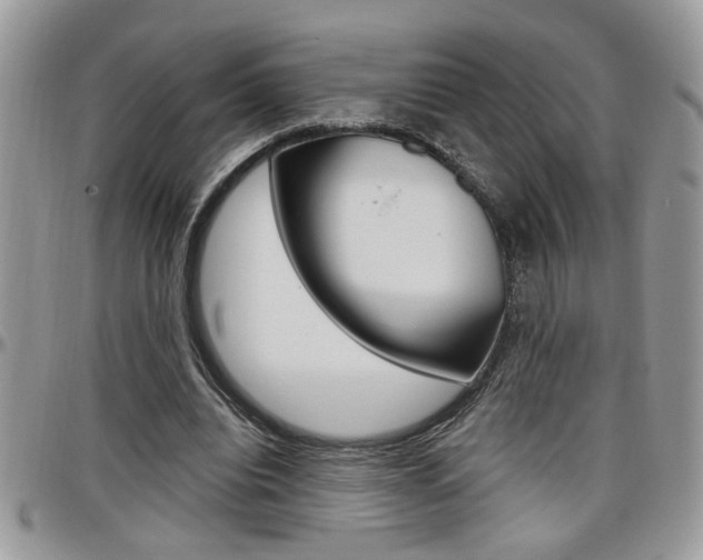 X0000097970440200803241023