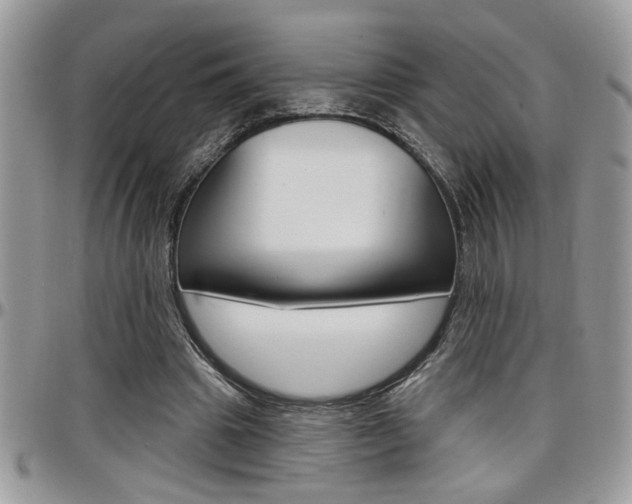 X0000097970441200803241023