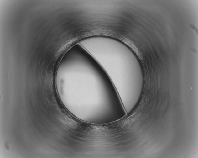 X0000097970442200803241023