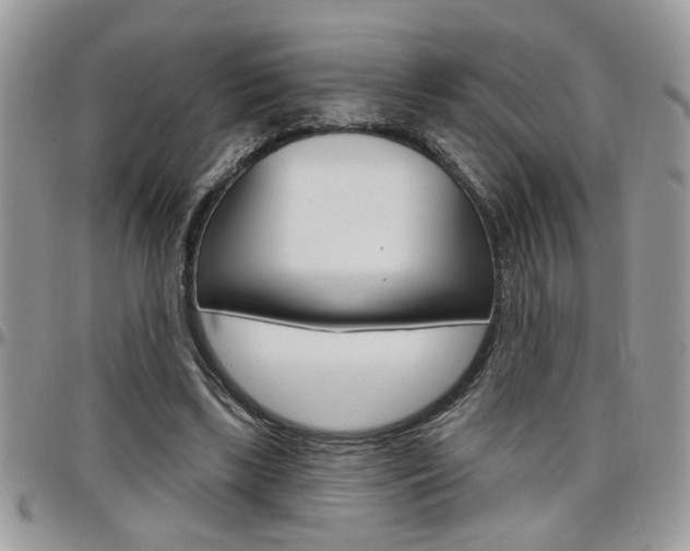 X0000097970443200803241023