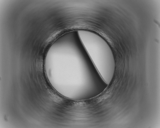 X0000097970446200803241023