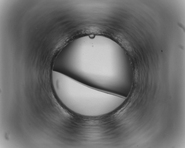 X0000097970449200803241023