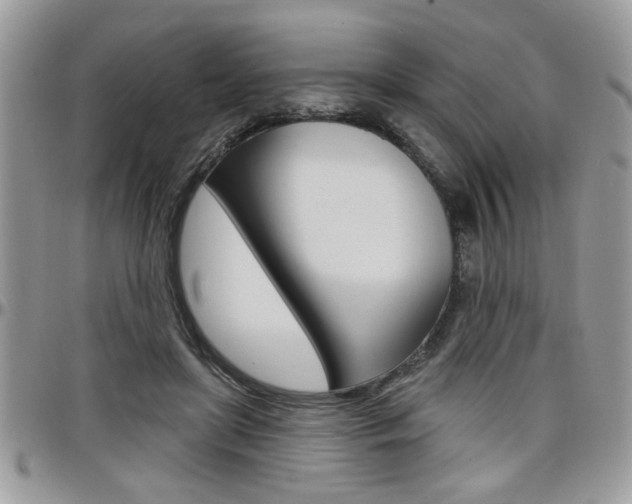 X0000097970451200803241023