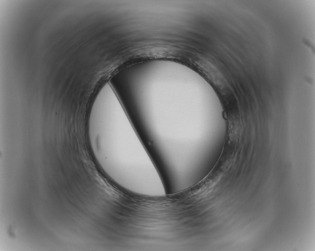 X0000097970453200803241023