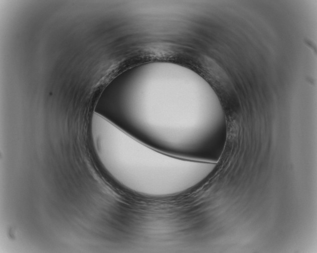 X0000097970456200803241023