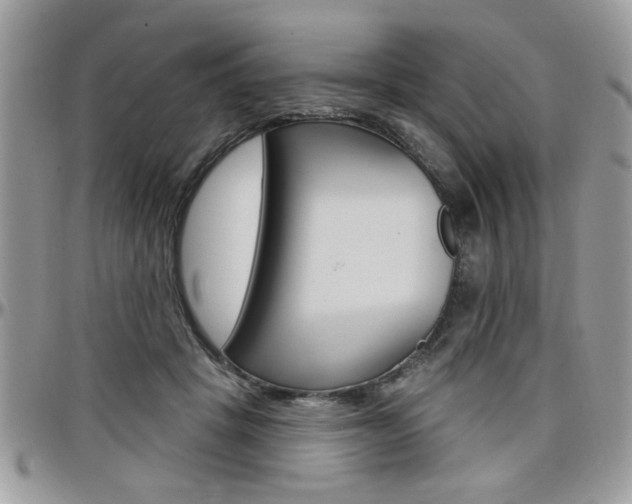 X0000097970457200803241023