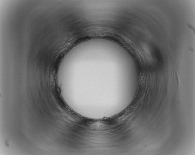 X0000097970460200803241023
