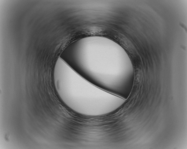 X0000097970461200803241023