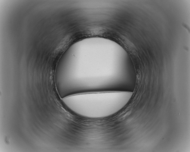 X0000097970462200803241023
