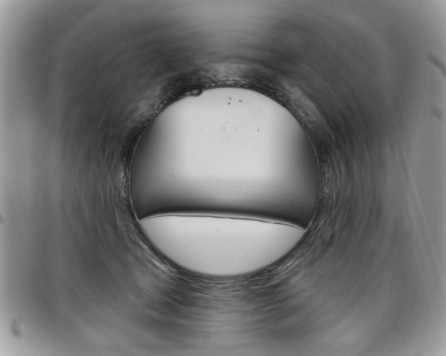 X0000097970465200803241023