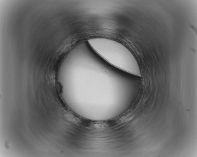 X0000097970466200803241023
