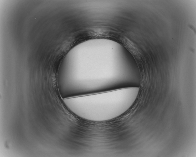 X0000097970469200803241023