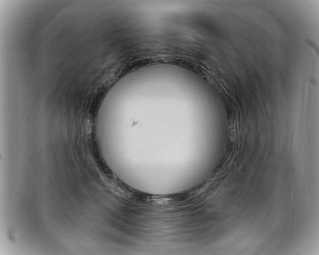 X0000097970472200803241023