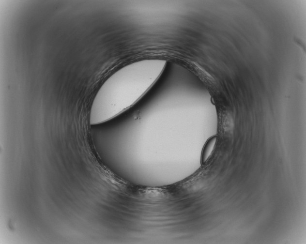 X0000097970475200803241023