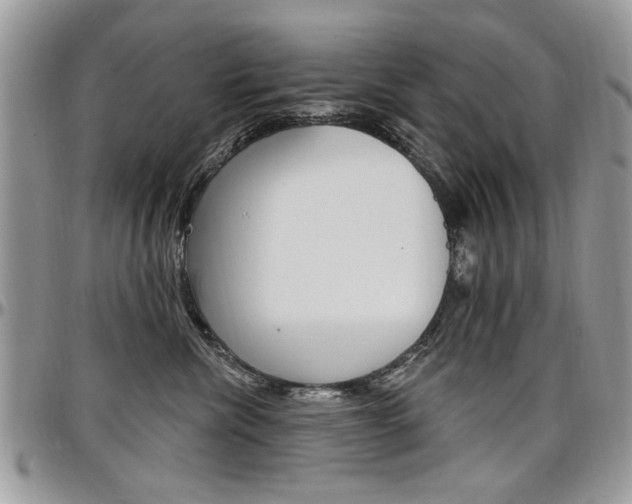 X0000097970476200803241023