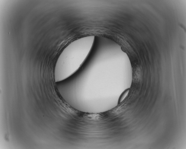 X0000097970478200803241023