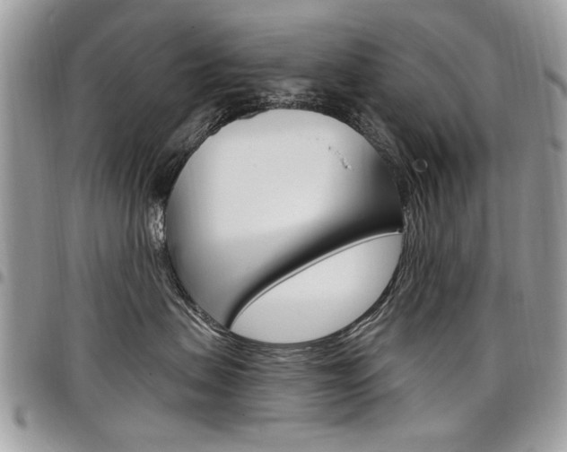 X0000097970479200803241023