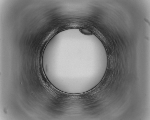 X0000097970482200803241023