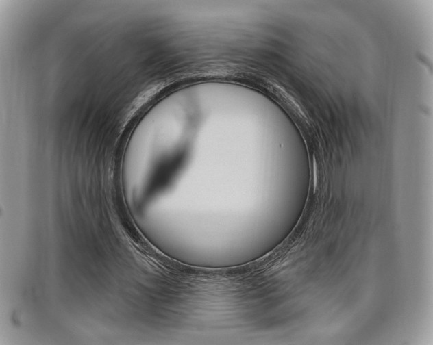 X0000097970483200803241023