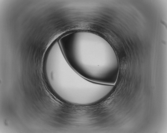 X0000097970484200803241023