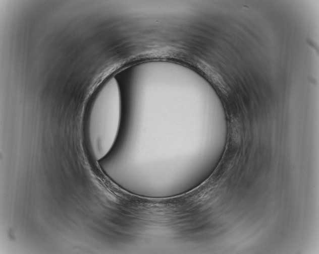 X0000097970486200803241023
